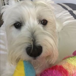 Meet your Posher, Carlos